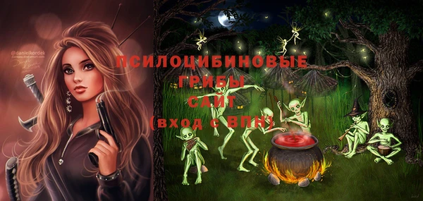 крисы Баксан