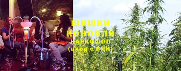 крисы Баксан