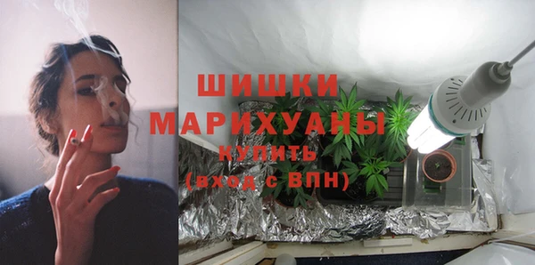 крисы Баксан