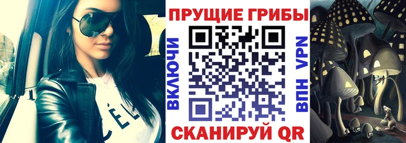 Псилоцибиновые грибы мицелий  даркнет сайт  Таруса 